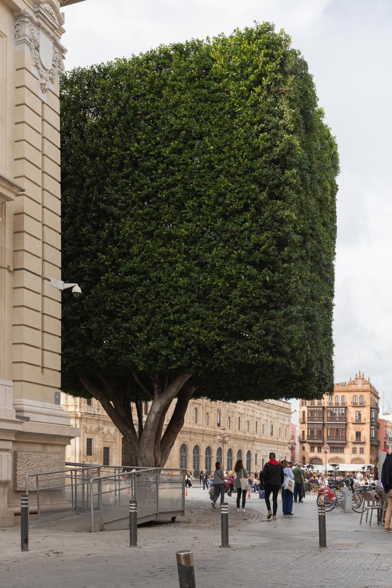Lujoso Apartamento En Casco Antiguo De Sevilla ภายนอก รูปภาพ
